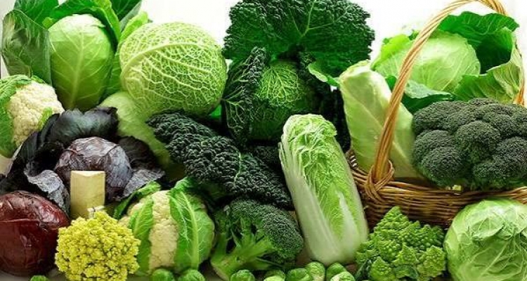 Các loại rau tốt nhất bạn nên ăn